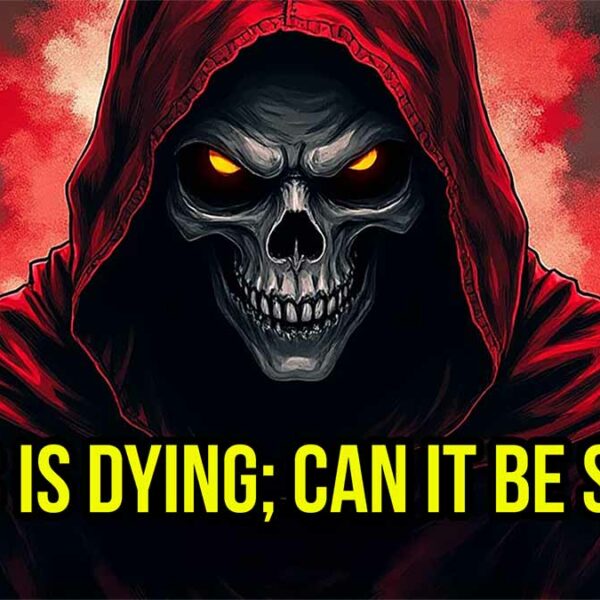 MSNBC is Dying; Can it be Saved? | A Fired Up clip