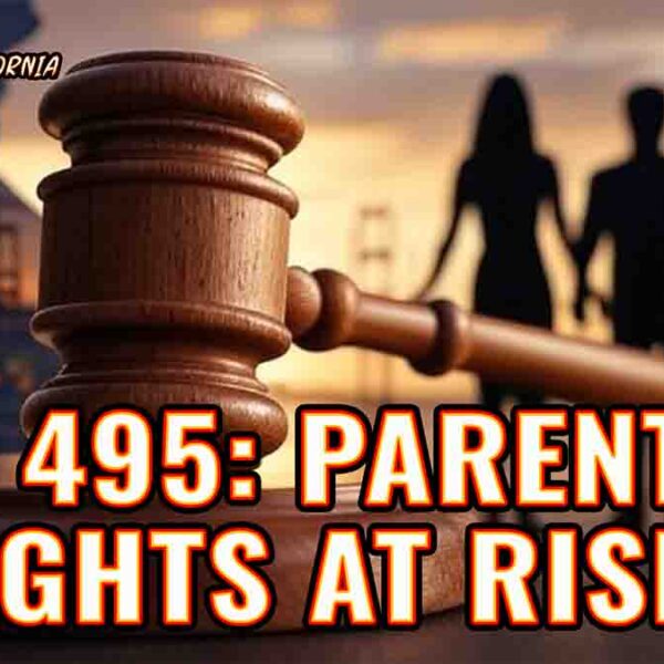 How Will California’s NEW ABA Law Affect YOUR Family in 2025?