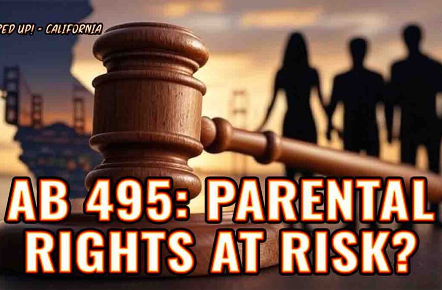 How Will California’s NEW ABA Law Affect YOUR Family in 2025?